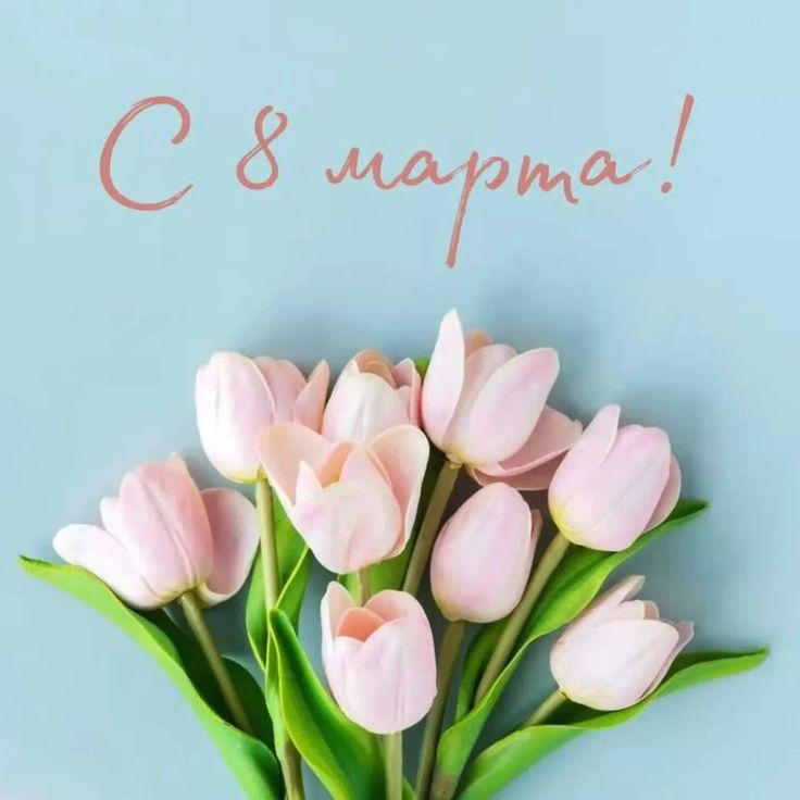 Дорогие женщины, поздравляем вас с Международным женским днем! Дорогие женщины, поздравляем вас с Международным женским днем!